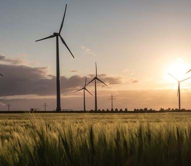 Windturbines in a field at sunset.