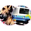 Two adversarial patches one of a dog and one of an ambulance 