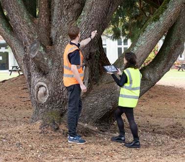 A male and a female surveyor inspect a tree at the Roke Romsey site